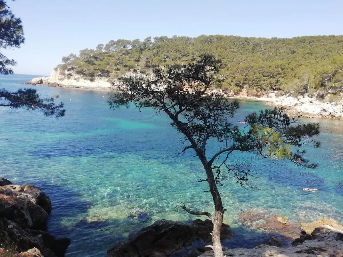 Contatos de Petit Coin De Paradis.